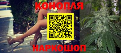 mdpv Заводоуковск