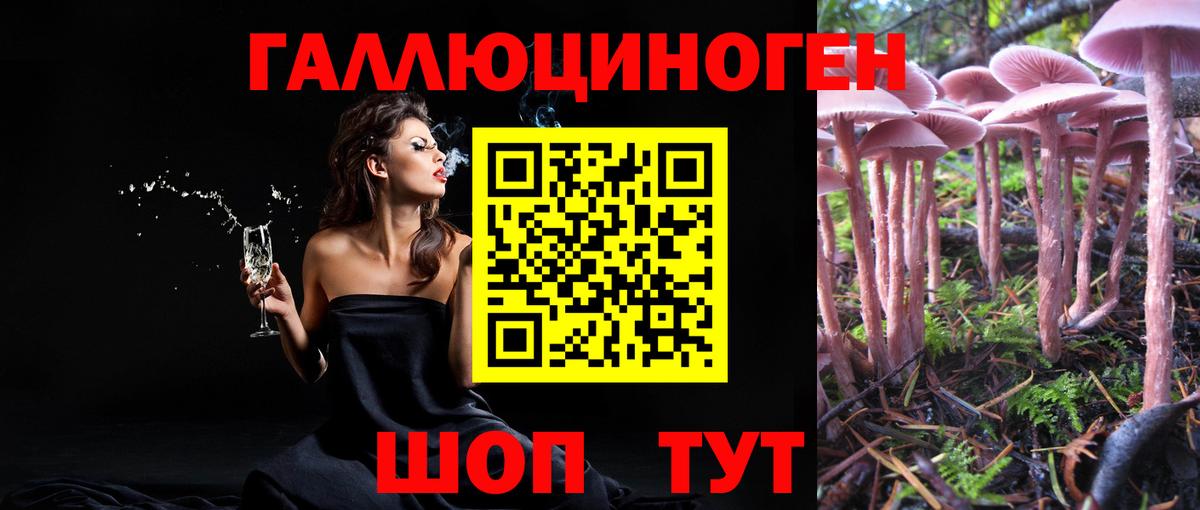 Псилоцибиновые грибы MAGIC MUSHROOMS  Вход с VPN  Псилоцибиновые грибы Psilocybine cubensis  Луга 